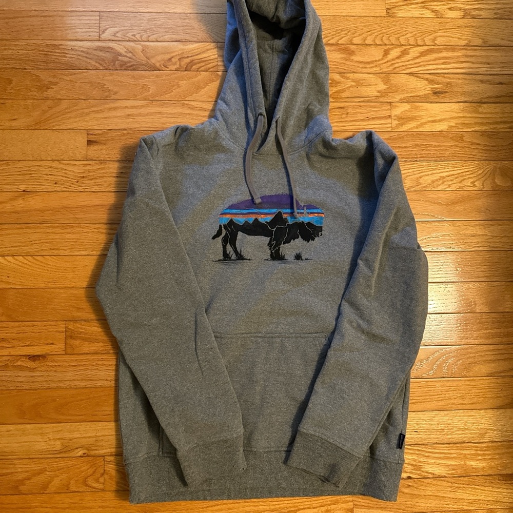 Gray Patagonia Hoodie